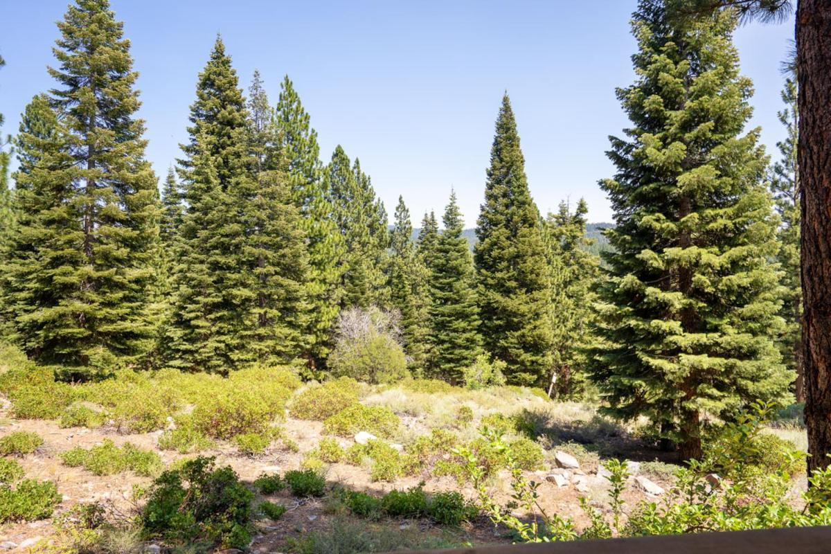 Northstar - Gold Bend Getaway Βίλα Truckee Εξωτερικό φωτογραφία